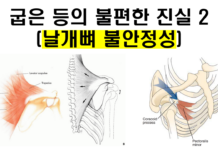 날개뼈의 불안정성과 굽은 등